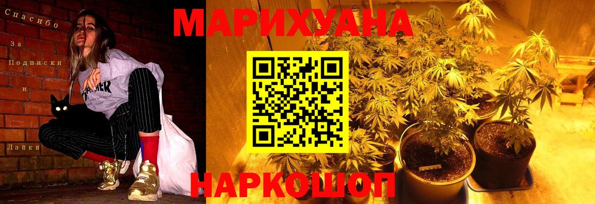 Бошки марихуана THC 21% Канаш